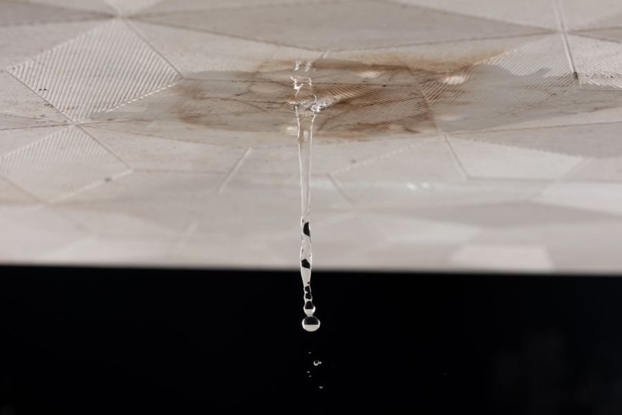 Water Damage Restoration Franchise: Why It’s the Most In-Demand Service Line to Own